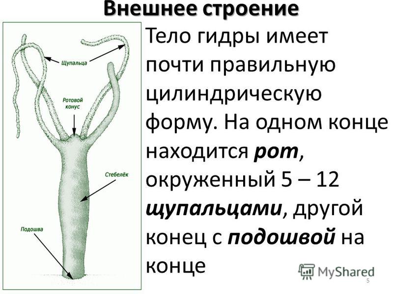 Кракен сайт наркотиков